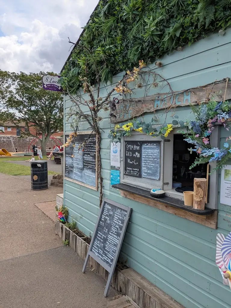 Paul Crilley_Wishing Tree by the Sea_Dunbar_review