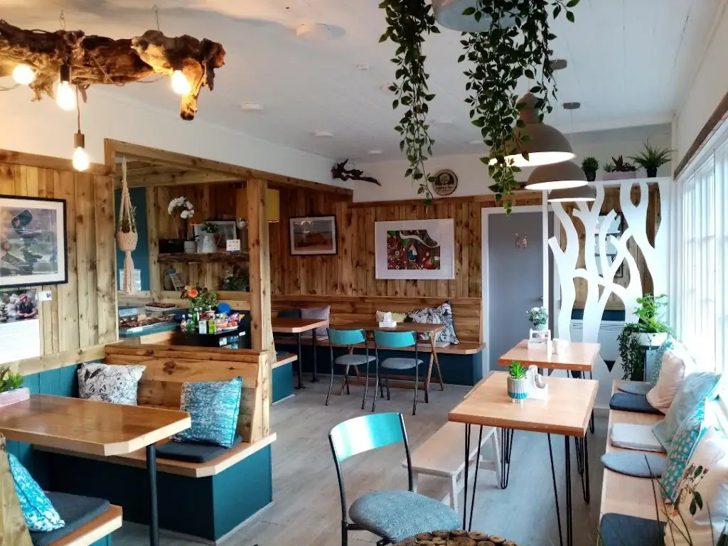 Wishing Tree by the Sea_Dunbar_slider_image_1