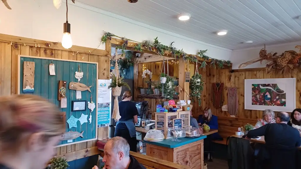 Wishing Tree by the Sea_Dunbar_slider_image_2
