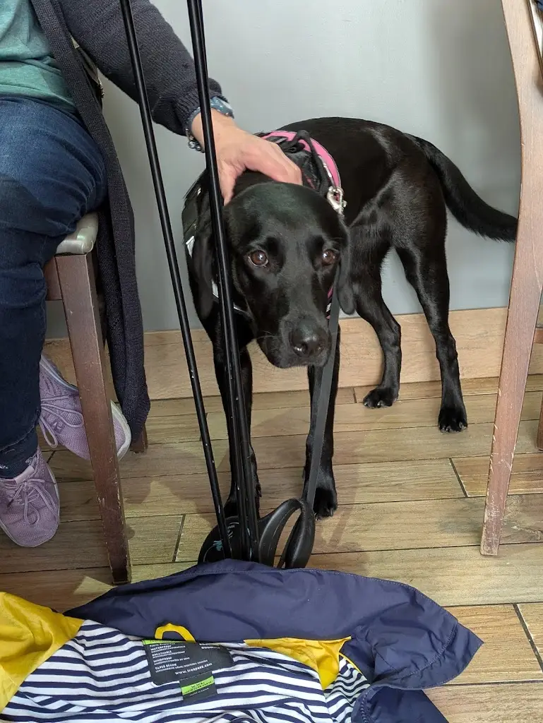 janet forbes _Cafe Central_Dunbar_review