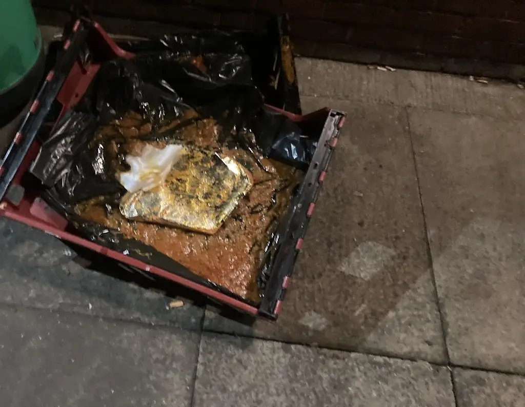 Ellie McLaughlin_Taj Mahal_Duntocher_review