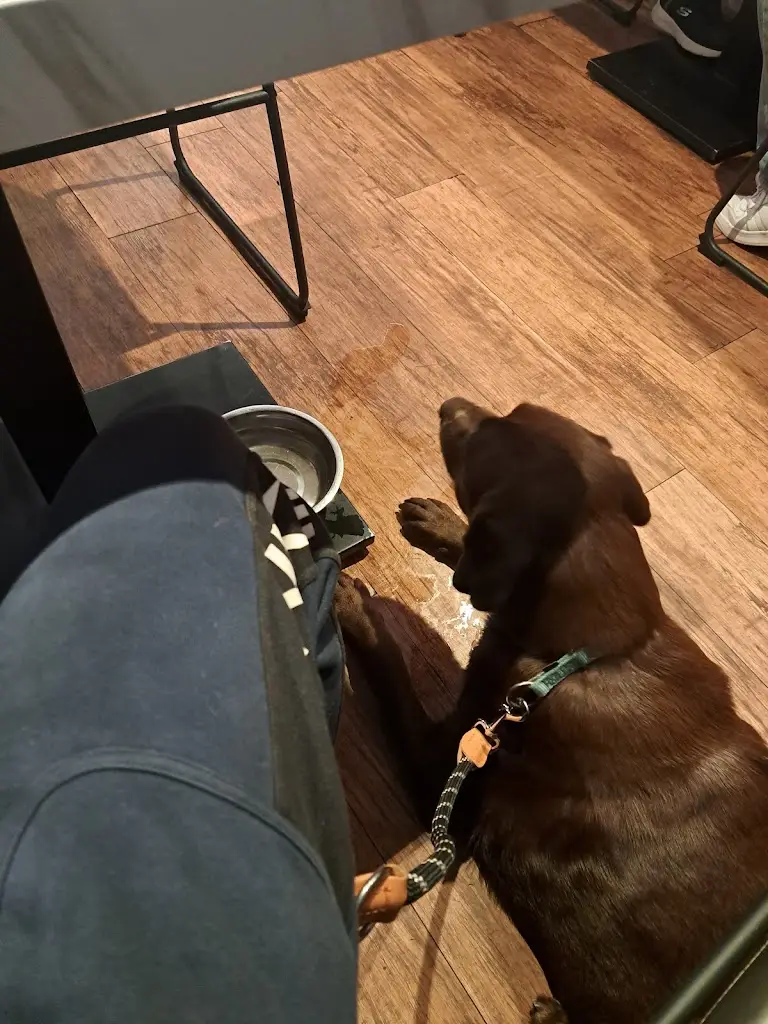 Carol Johnson_The Airlie Arms Hotel & Restaurant_Forfar_review