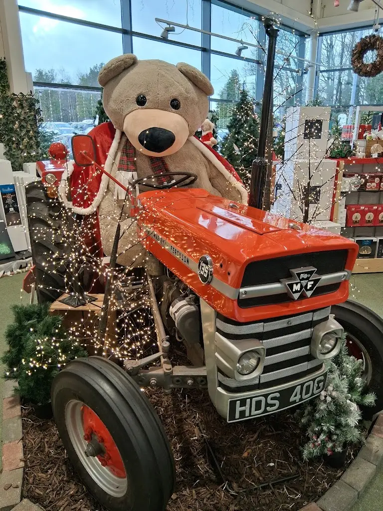 David Douglas_Caulders Garden Centre Erskine_Erskine_recensione