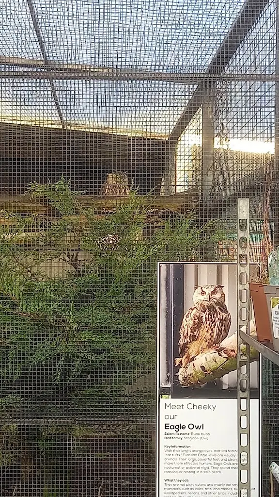 Gisella Rindi_Simpsons at Fochabers_Fochabers_review