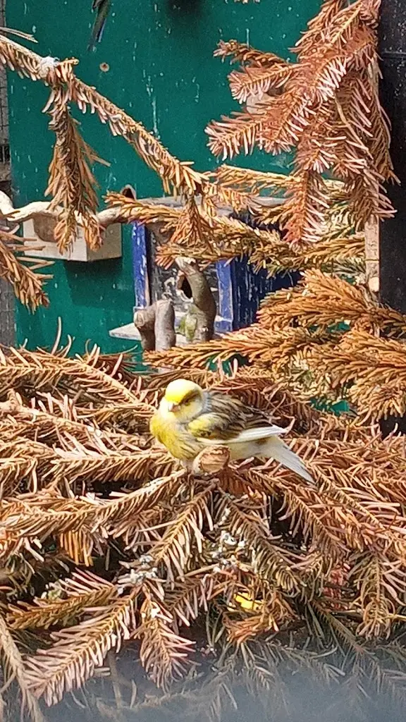 abby rennie_Simpsons at Fochabers_Fochabers_review