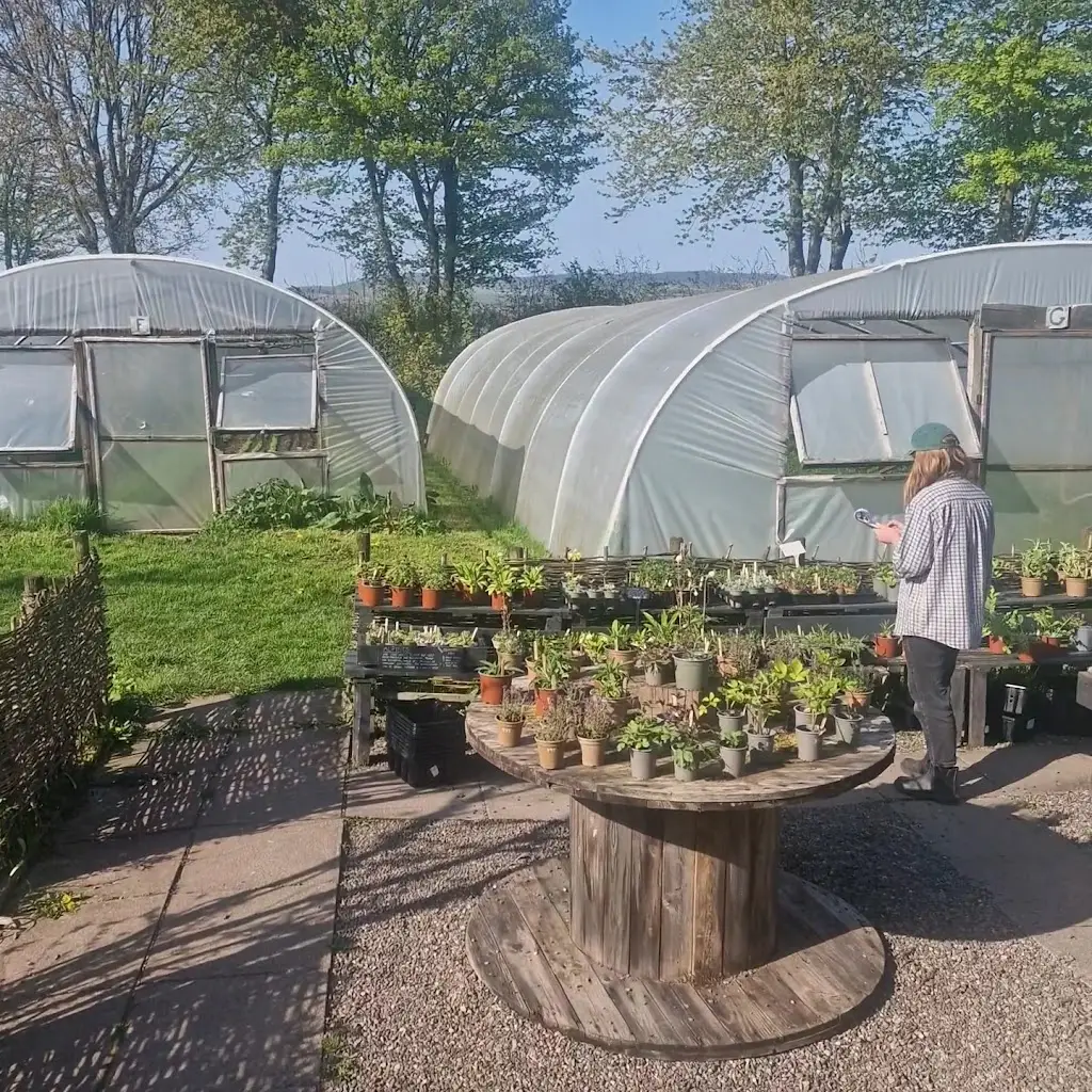 Pillars Of Hercules Organic Farm Shop & Cafe_Falkland_slider_image_2