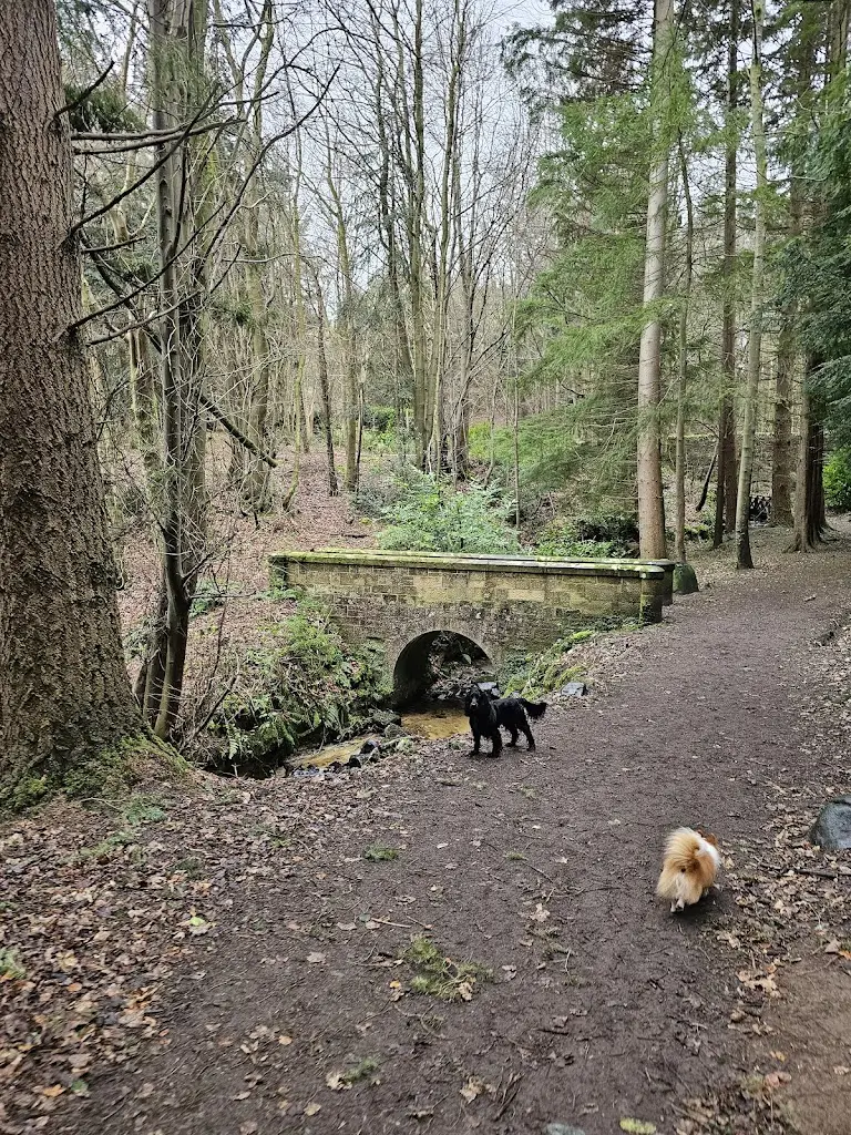Lee_a _Donaldson_Maspie Den Car Park_Falkland_review