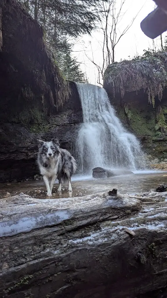 Vikkie Everard_Maspie Den Car Park_Falkland_review