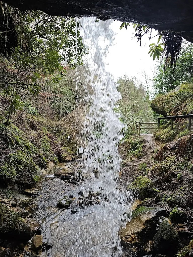 Maspie Den Car Park restaurant in Falkland