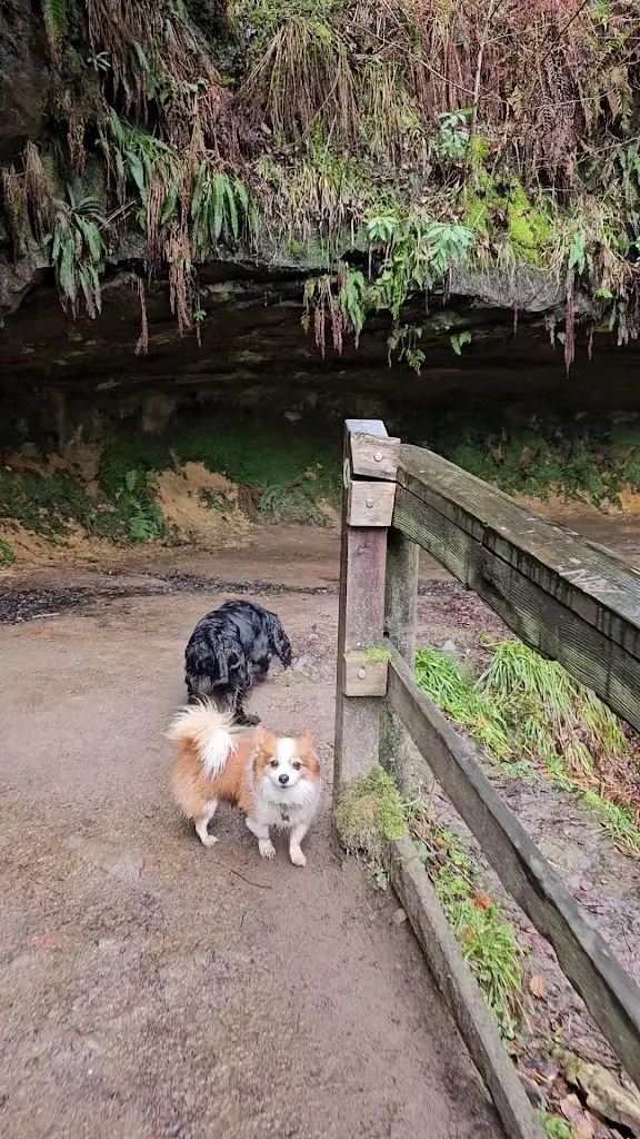 Maspie Den Car Park_Falkland_slider_image_2