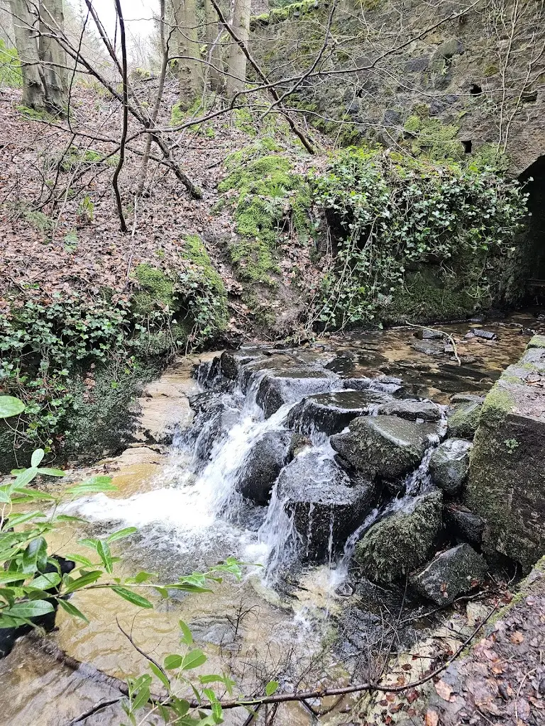 Maspie Den Car Park_Falkland_slider_image_3