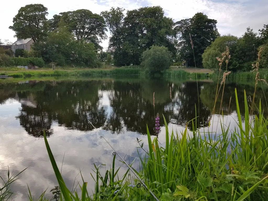 The Grouse & Claret_Falkland_slider_image_3