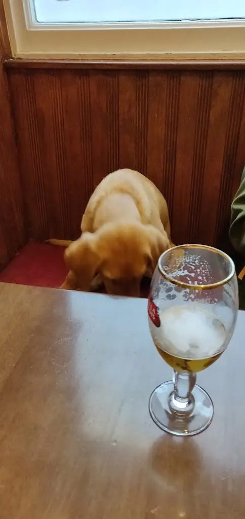 Menu_The Union Tavern_Fortrose_image_6