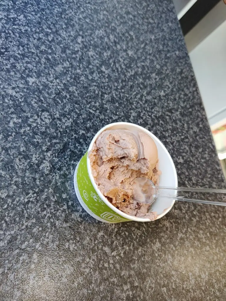 Nikhil Reji Mathew_Comfort Fish & Chips_Fortrose_review