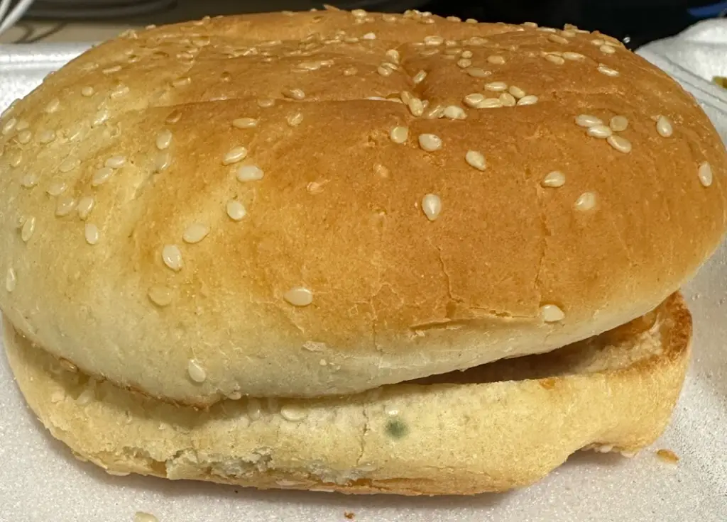 Jake Lum (Jakey)_Ali fish&chips and curry House_Garelochhead_review