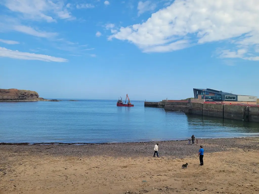 The Dans34 - Gaming_The Tavern_Eyemouth_review