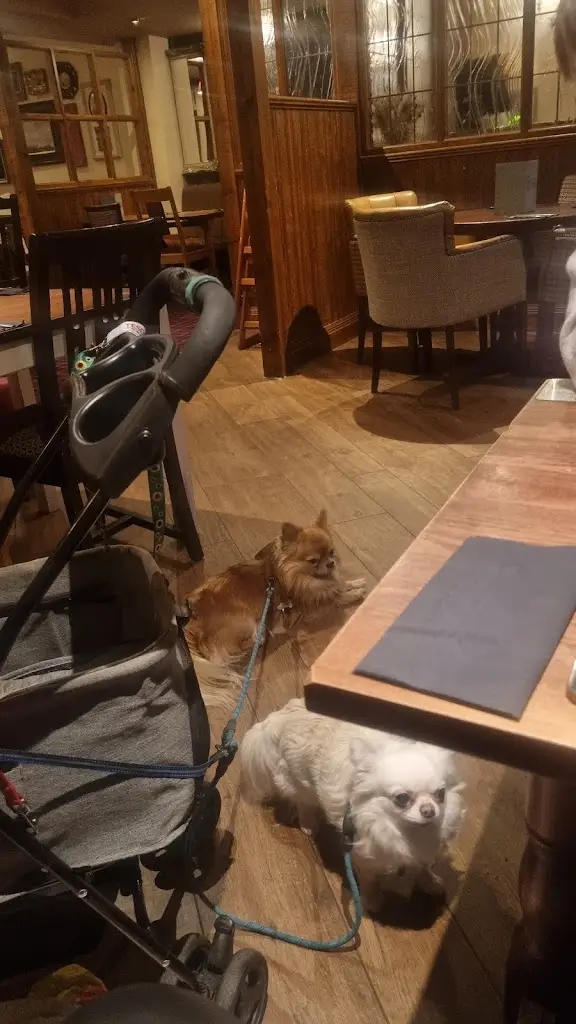 Lesley Stevenson_The Tavern_Eyemouth_review