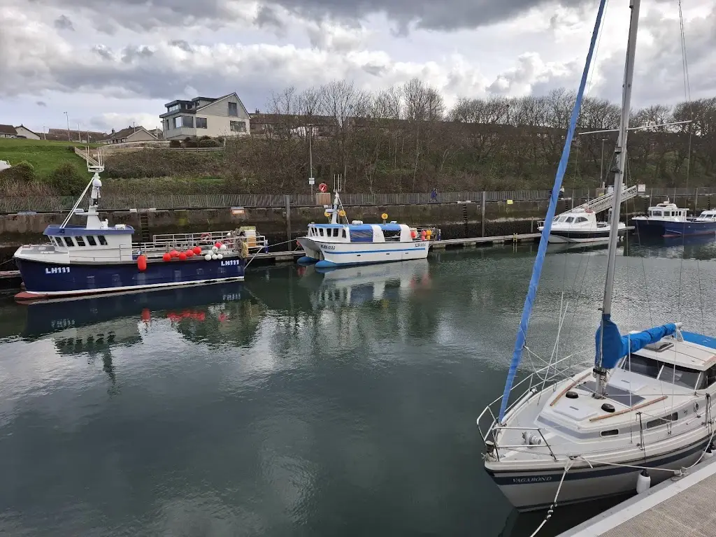 Kocero's Kebab & Pizza, Fish & Chips_Eyemouth_slider_image_2