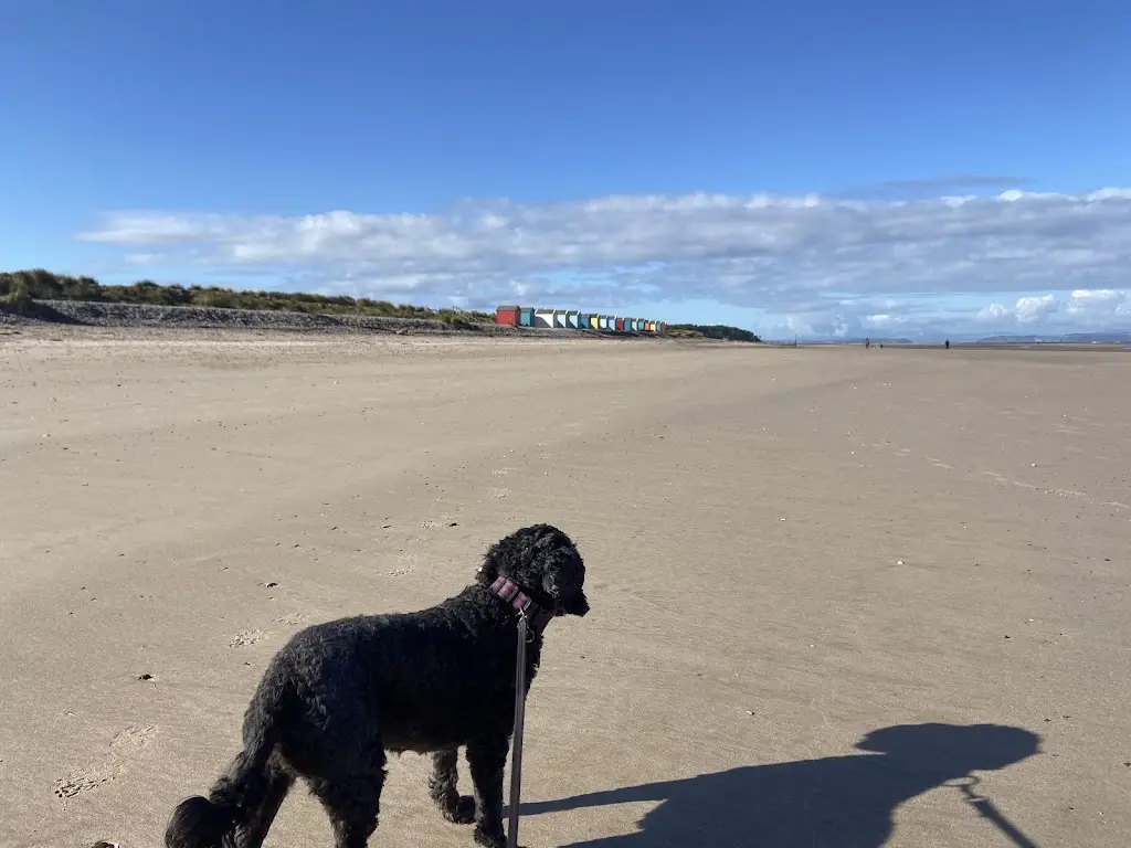 Kehoe Andy_The Captain's Table_Forres_recensione