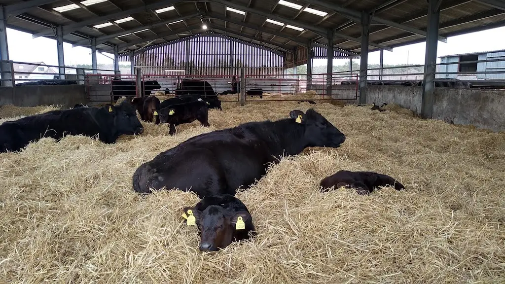 Woodside Farm And Coffee Shop_Forres_slider_image_3