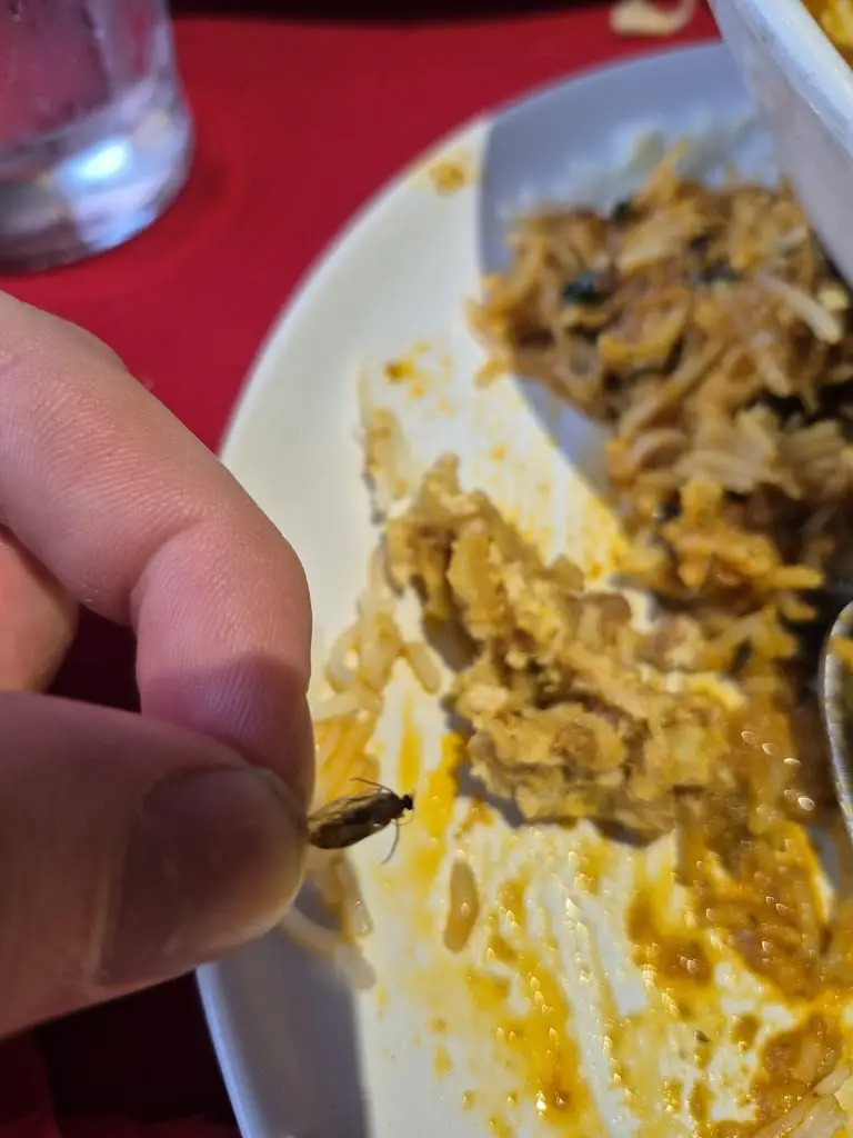 Proh Pane_Masala Twist Helensburgh - Best Indian Restaurant in Helensburgh_Helensburgh_review