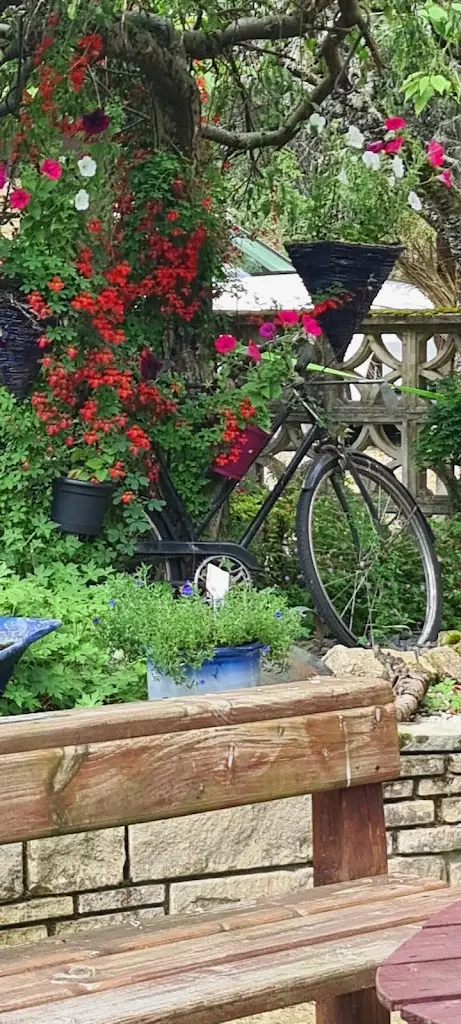 Jackie B_Speyside Centre_Grantown on Spey_review