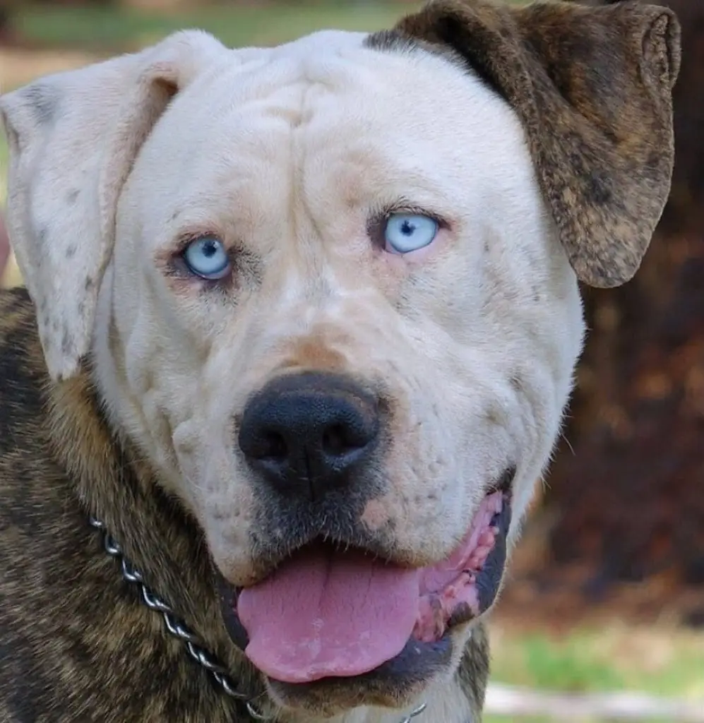 Philip Lewis_Fast Frys_Insch_review