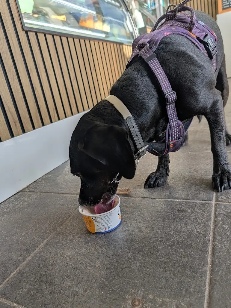 Steve Draper_brunchy Bilsthorpe_Bilsthorpe_review