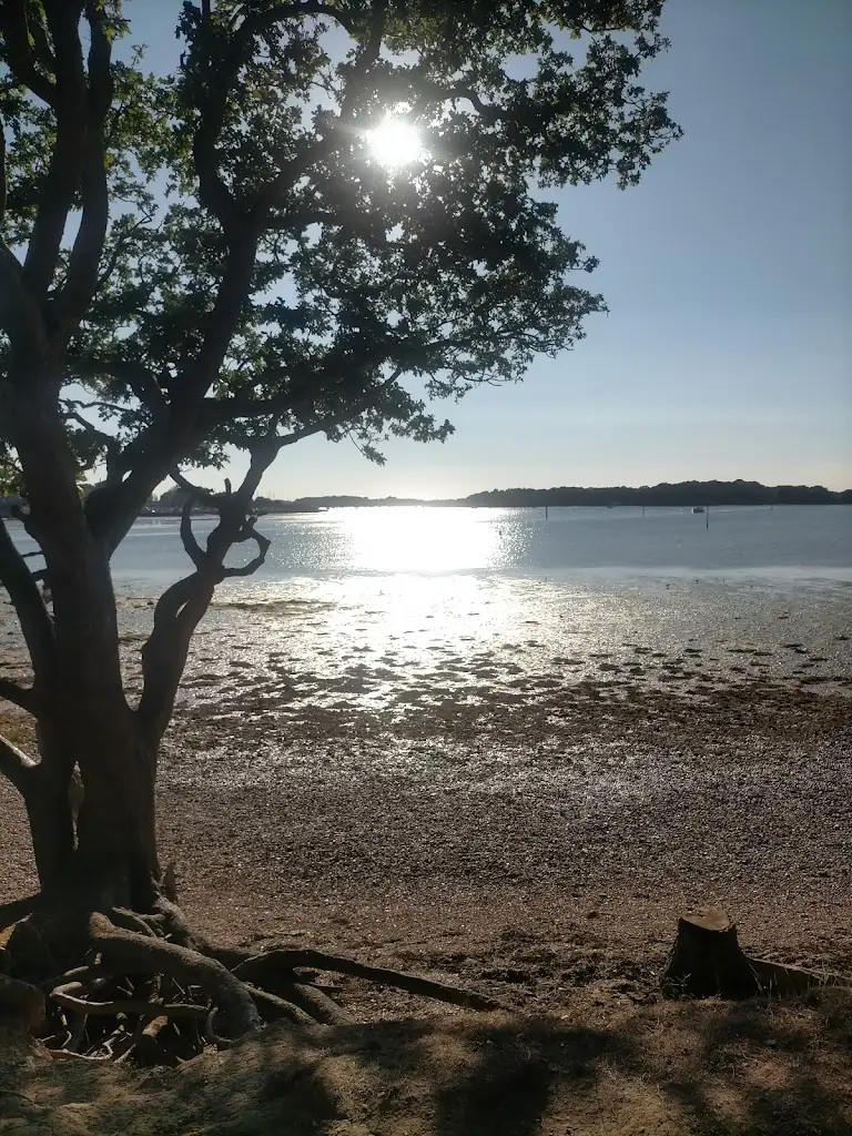 Craig K62_Boathouse Chichester_Birdham_review