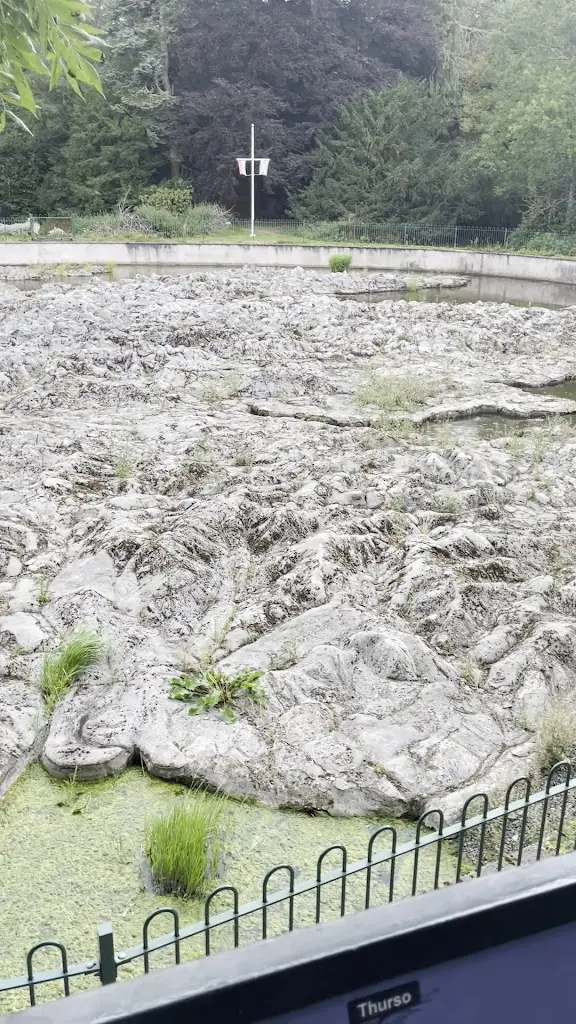 Julie Allan_Barony Castle Hotel_Innerleithen_review