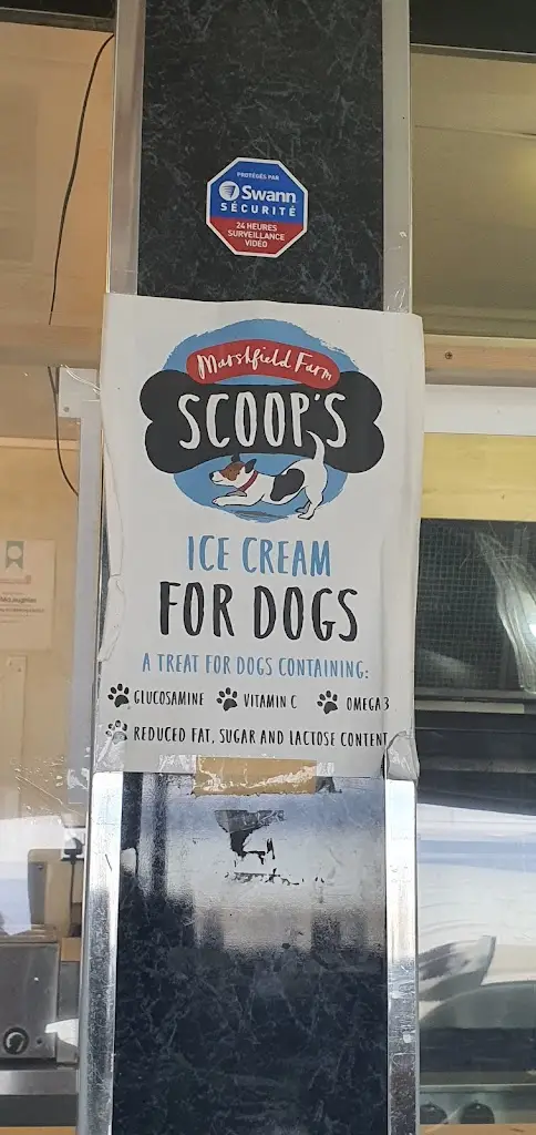 Menu_Ettrick Bay Cafe_Isle of Bute_imagen_9