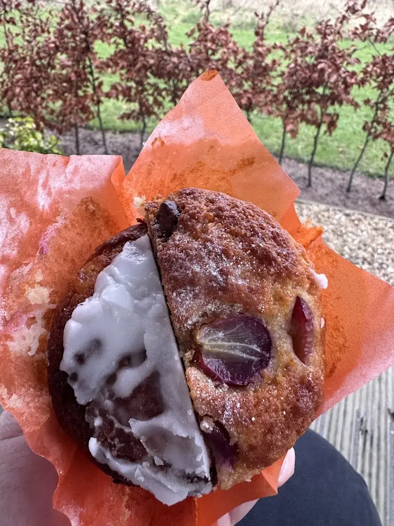 Jamie Hammond_Brewbaker_Isle of Cumbrae_review