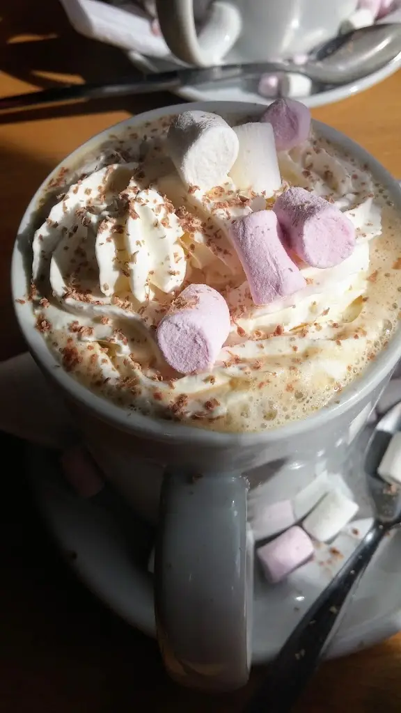 Menu_Youngs Diner_Kelty_immagine_4