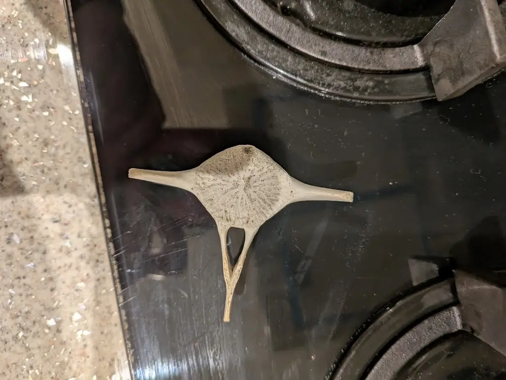 Karen Watson_The Creggans Bar | Kilcreggan_Kilcreggan_review