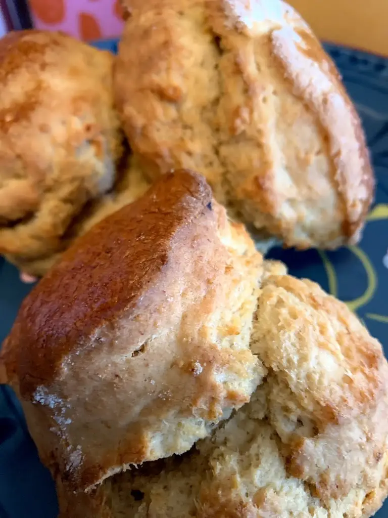 Menu_The Blue Lobster_Isle of Lewis_image_4