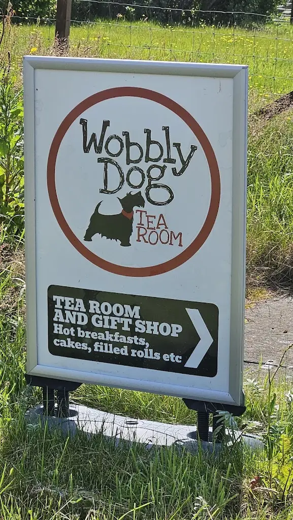 Alastair Lefley_Wobbly Dog of Lewis_Isle of Lewis_review