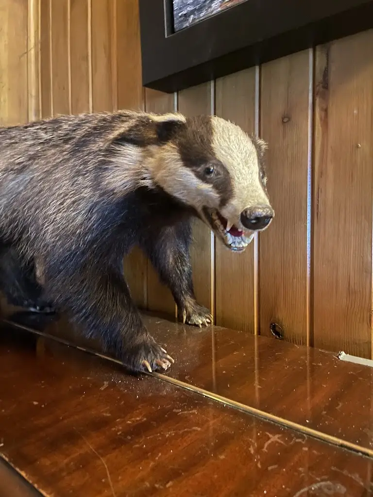 Annie Campbell_The Cross Keys_Kippen_review