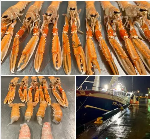 Menu_Garioch Fish Bar_Inverurie_image_6