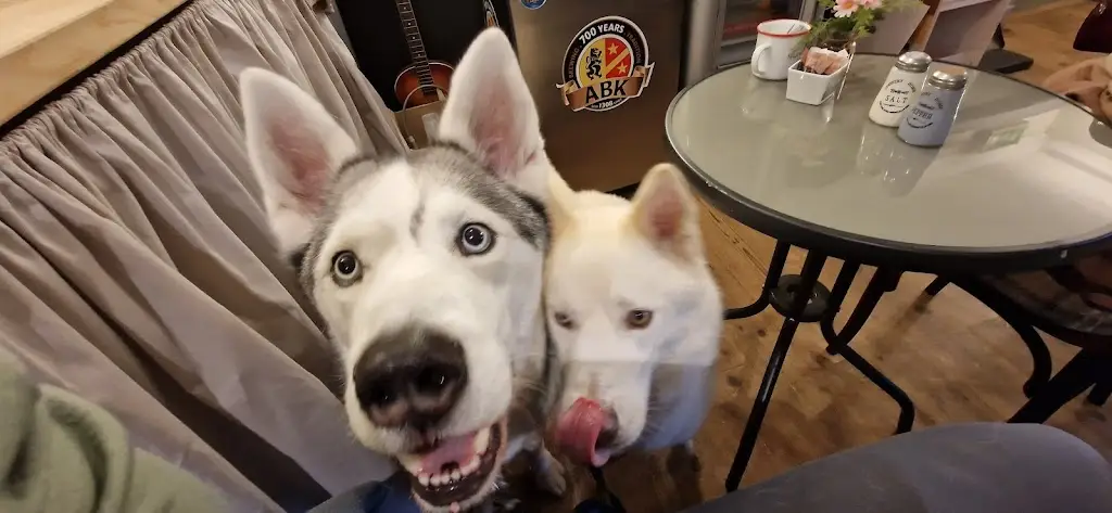 Louiseann Macaulay_Golf Inn @ Ladybank_Ladybank_review