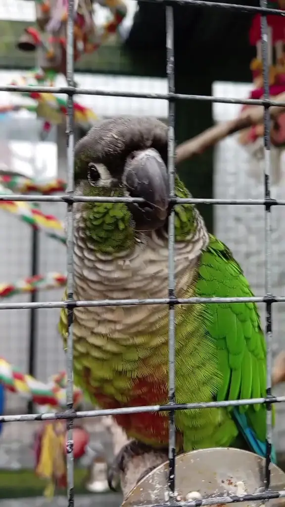 Jamie Gray_The Elbow Room_Kirkcaldy_review