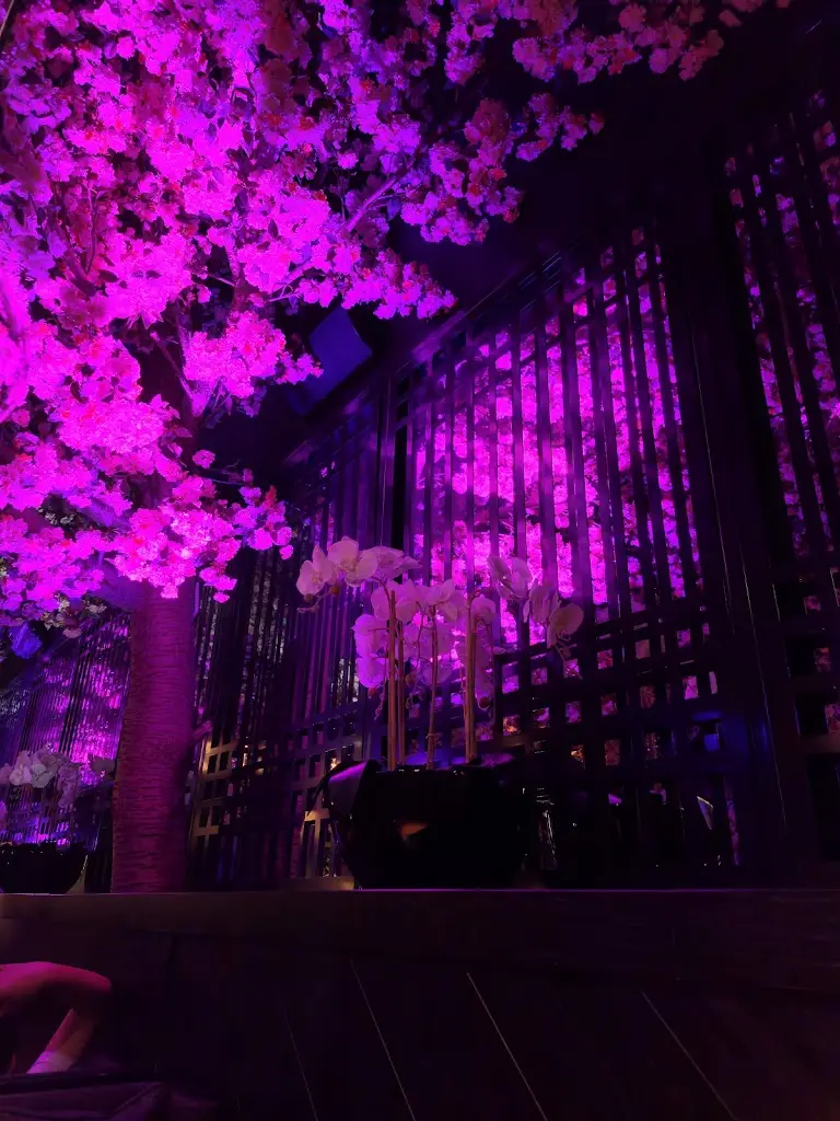 Takeshi Hiranoyama_Tattu Birmingham_Birmingham_review