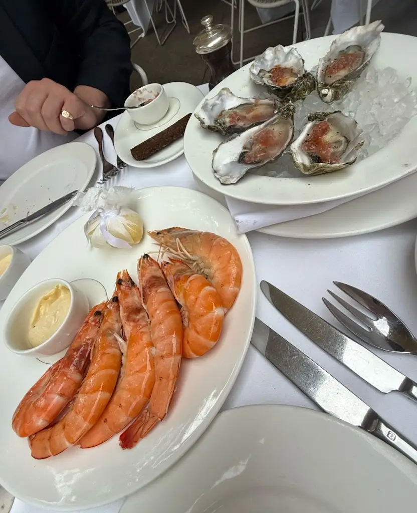 Torrian Van Deventer_Coq d'Argent_Law_recensione