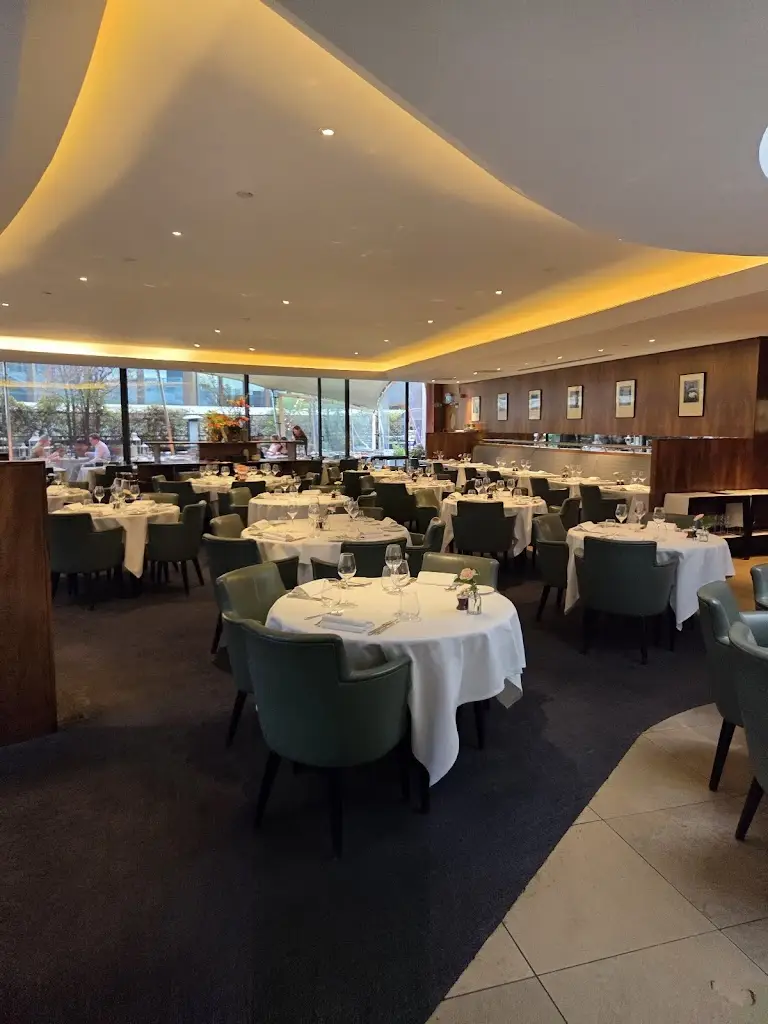 Mo Mo_Coq d'Argent_Law_recensione