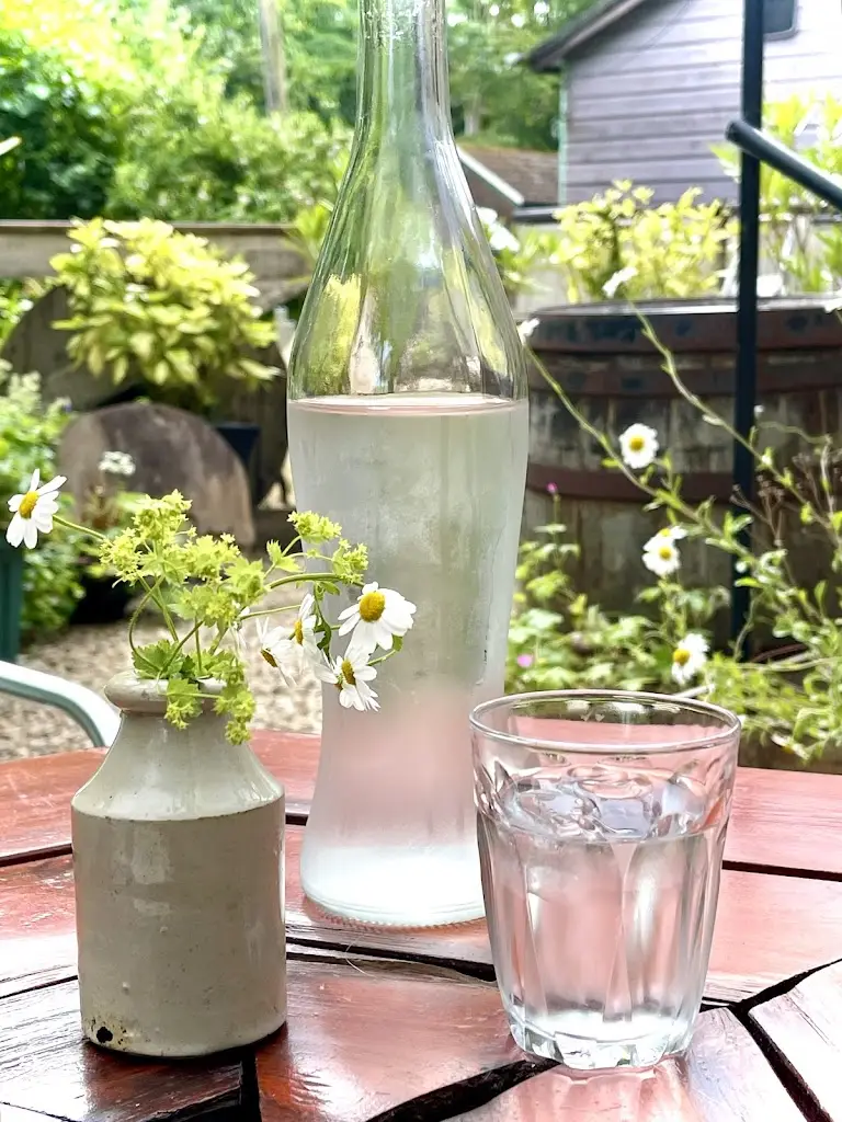 Seamus Bryans_The French Fox_Lamlash_review