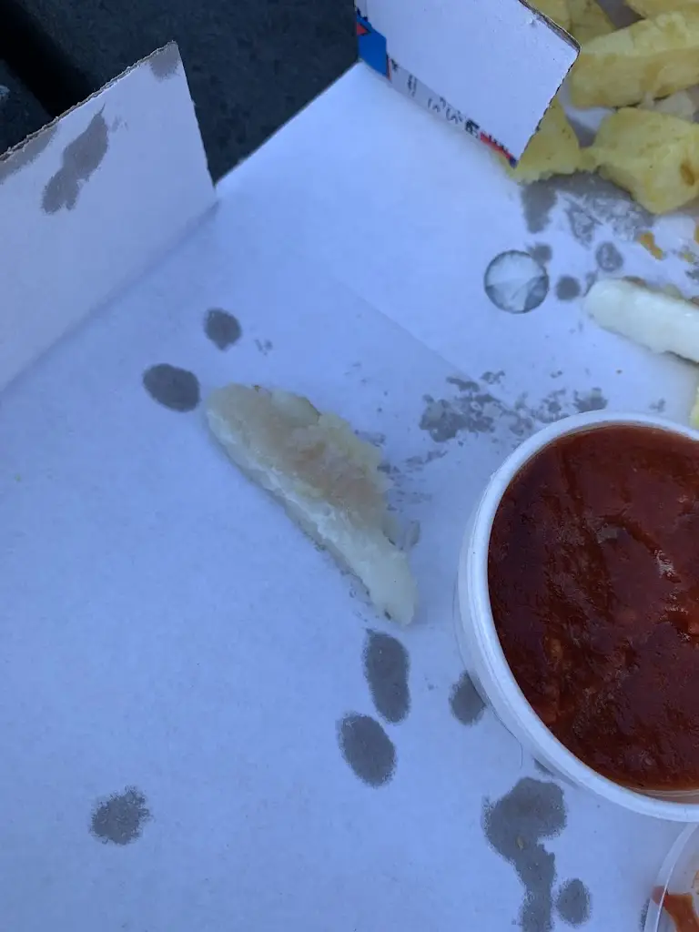 Wendy Anderson_Meleks Fryer_Kirkcudbright_review