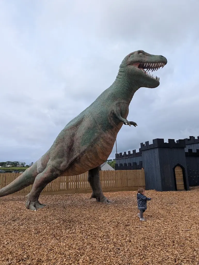 Veronika McCann_The Cocoabean Company_Kirkcudbright_review