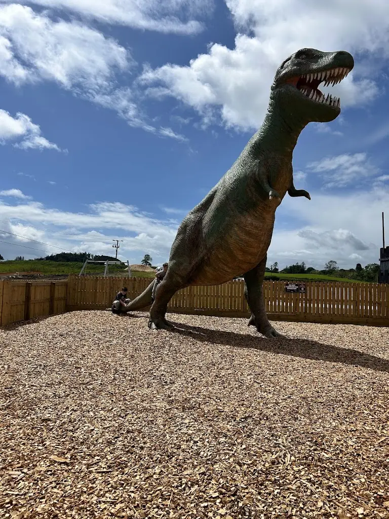 The Cocoabean Company_Kirkcudbright_slider_image_3