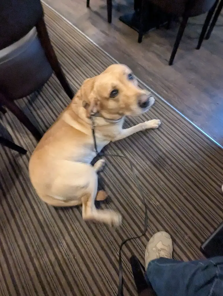 kevin inkster_Bridge45_Lhanbryde_review