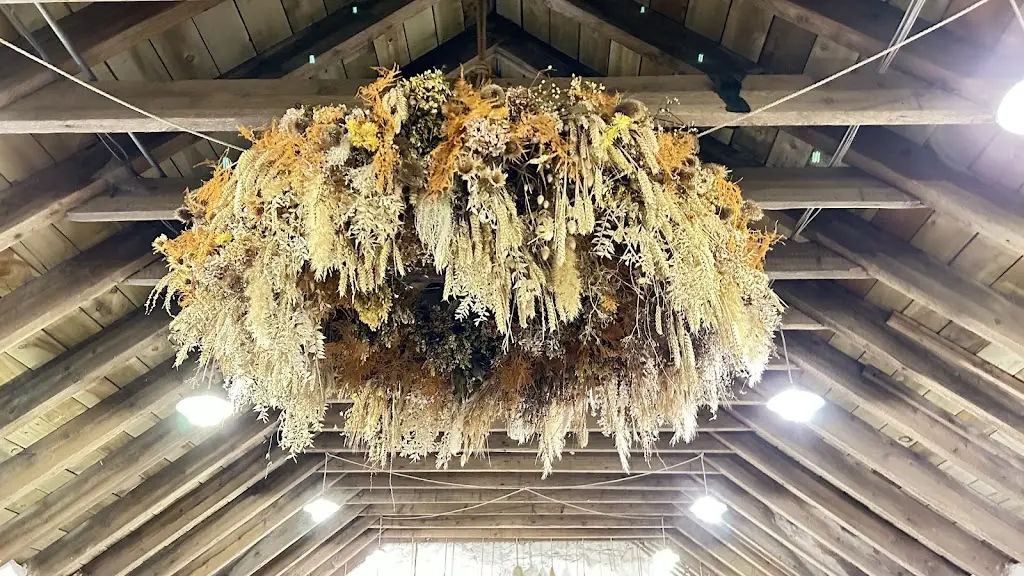 sienne veit_The Free Company_Midlothian_review