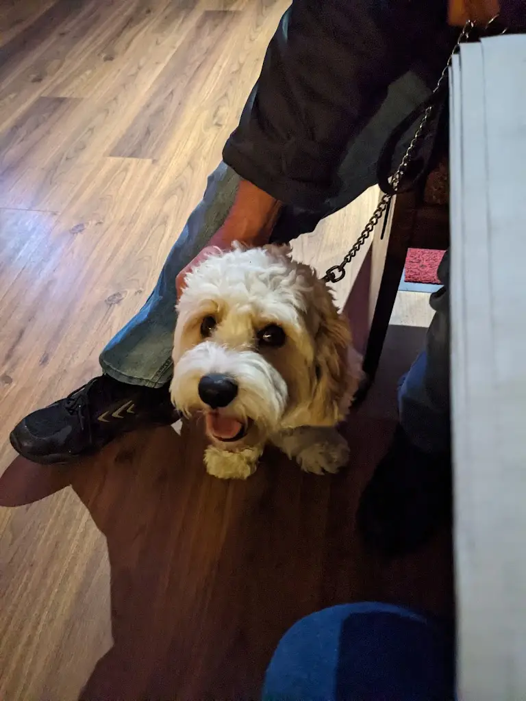 Matthew West_The Old Moray Ltd_Macduff_review